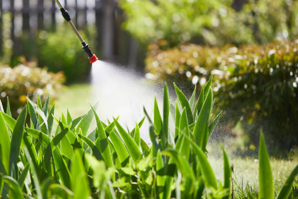 Tamper-Resistant Bait Stations for Rodents in Nash