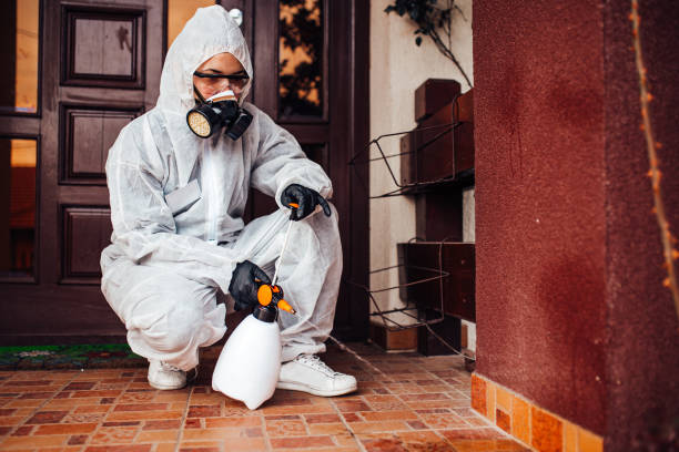 Attic and Crawl Space Rodent Treatment in Nash